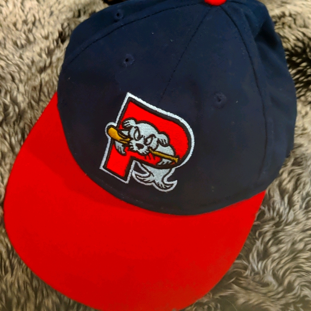 NWOT Portland Mud Dogs Unisex Youth Cap